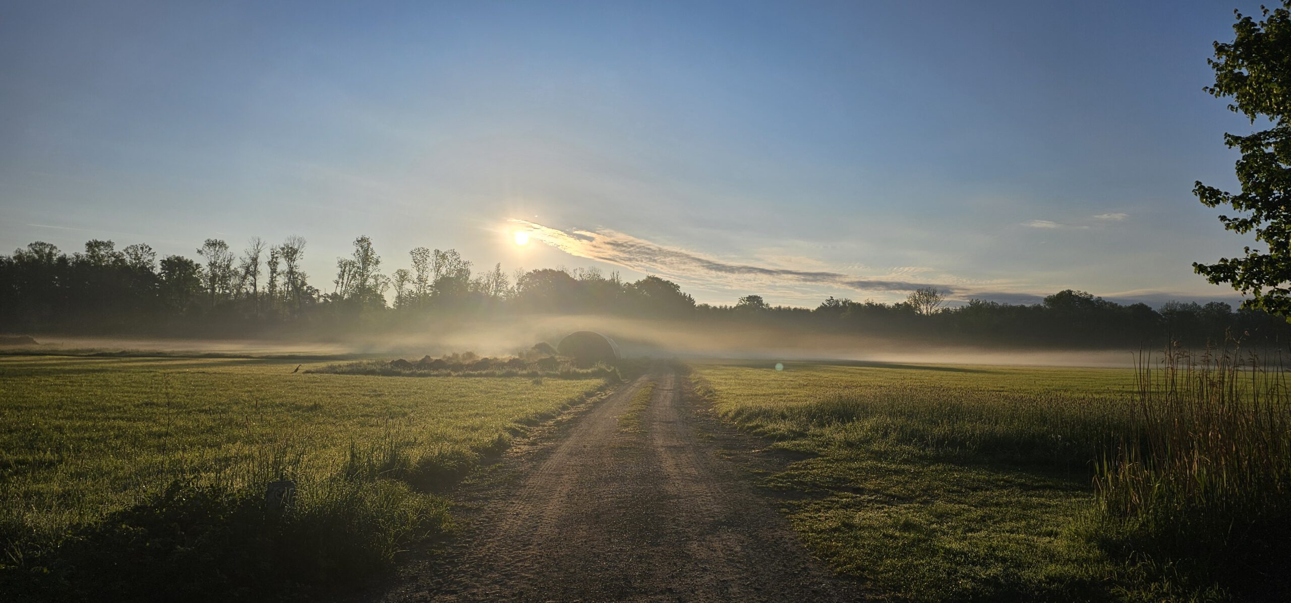 Morgenlicht