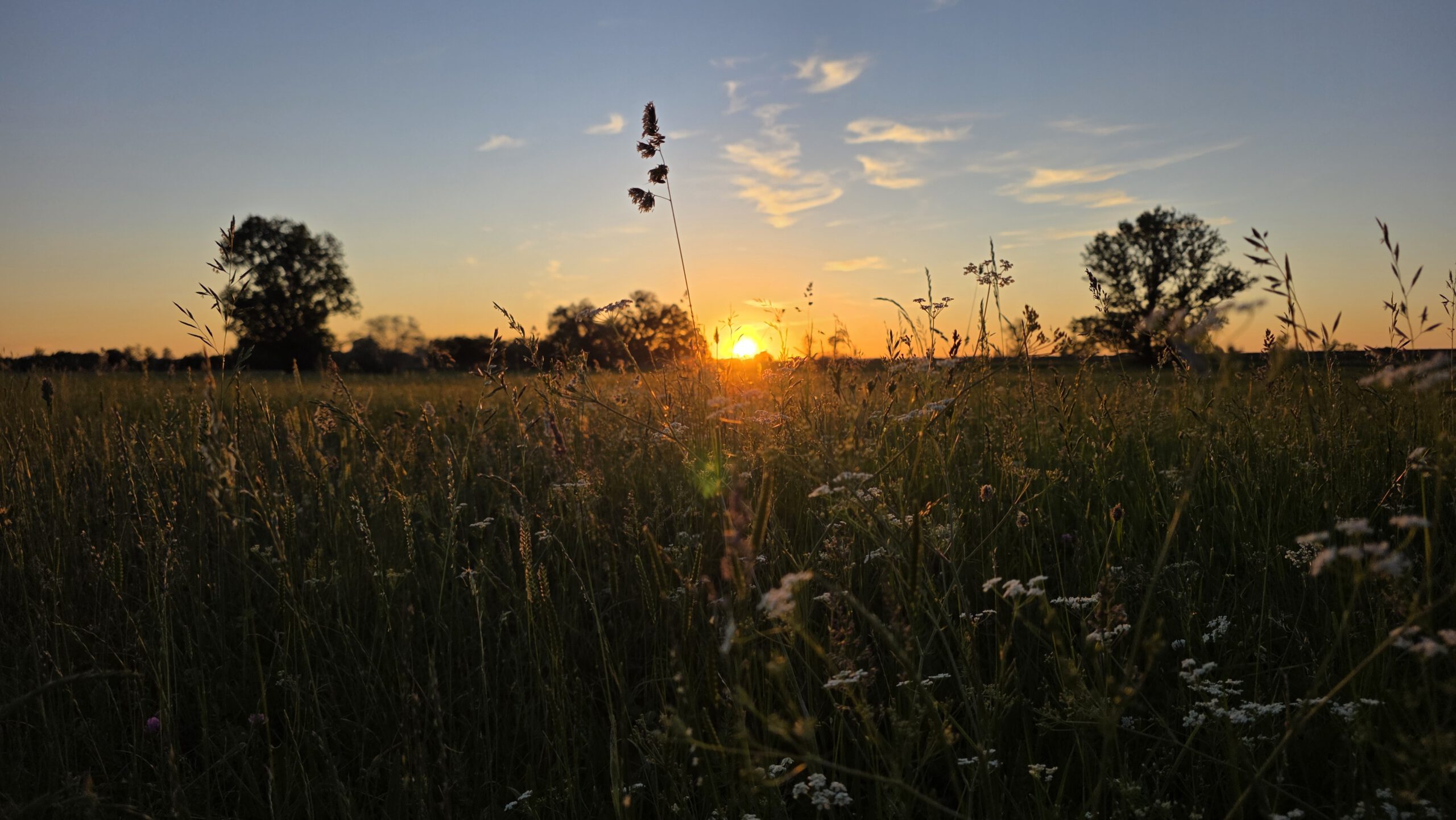 Feierabendlicht